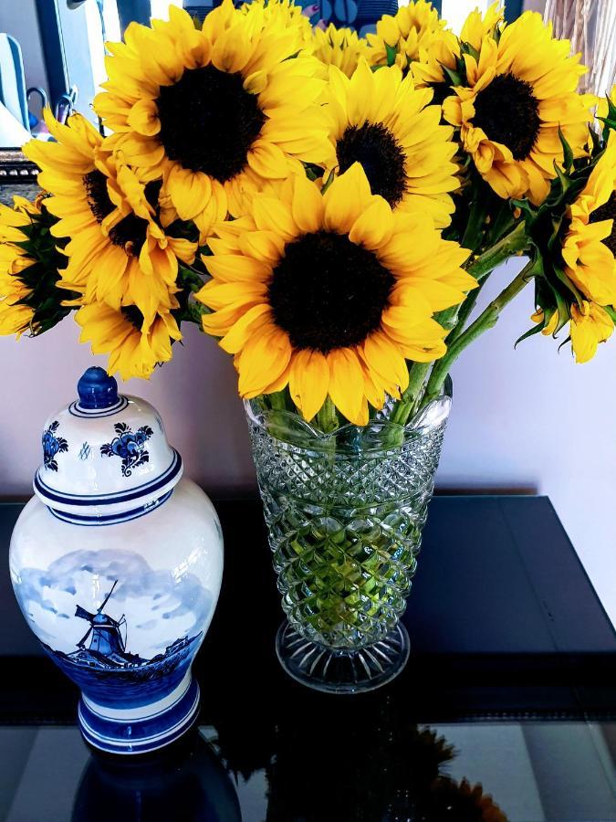 Over The Moon Guesthouse Johannesburg Bagian luar foto